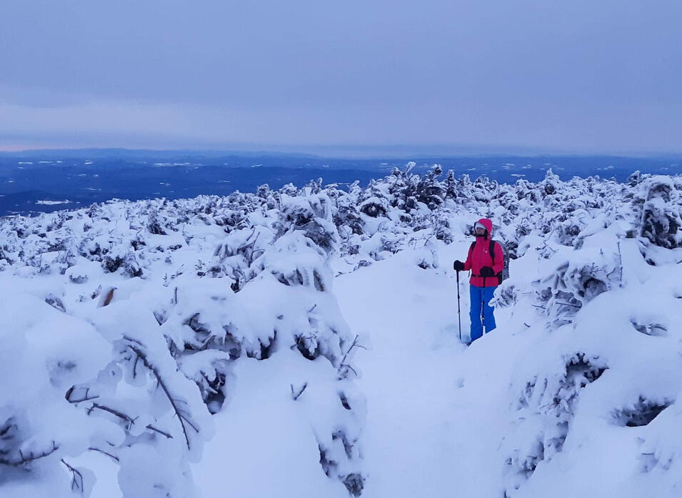 “Au milieu de l’hiver j’ai découvert en moi un invincible été” Albert Camus